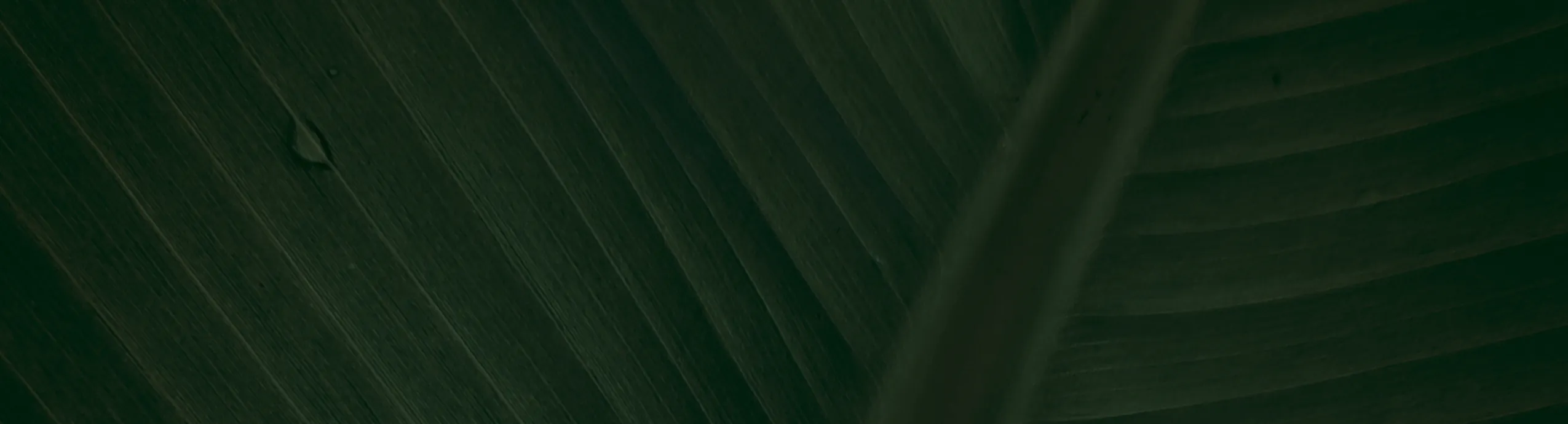 Ají Amarillo Paste 1 kg Doypack